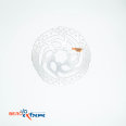 Тормозной диск Shimano RT54, 160 мм, C.Lock